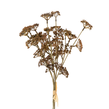 Meadow Grass - Bouquet delicate sprigs