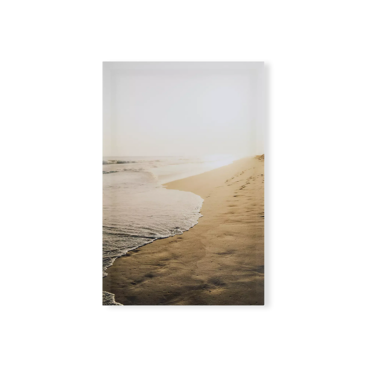 Spyro Coastal & Water - Print