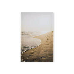 Spyro Coastal & Water - Print
