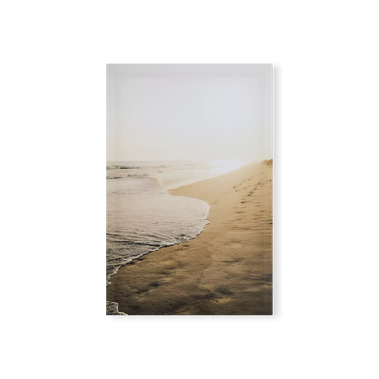 Spyro Coastal & Water - Print
