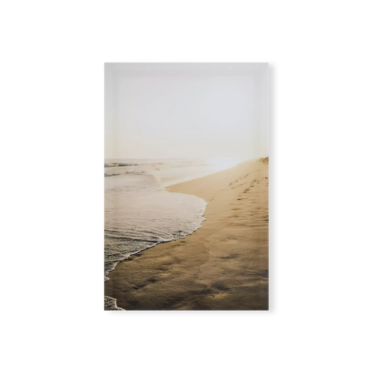 Spyro Coastal & Water - Print