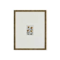 Flores - Framed Floral Print