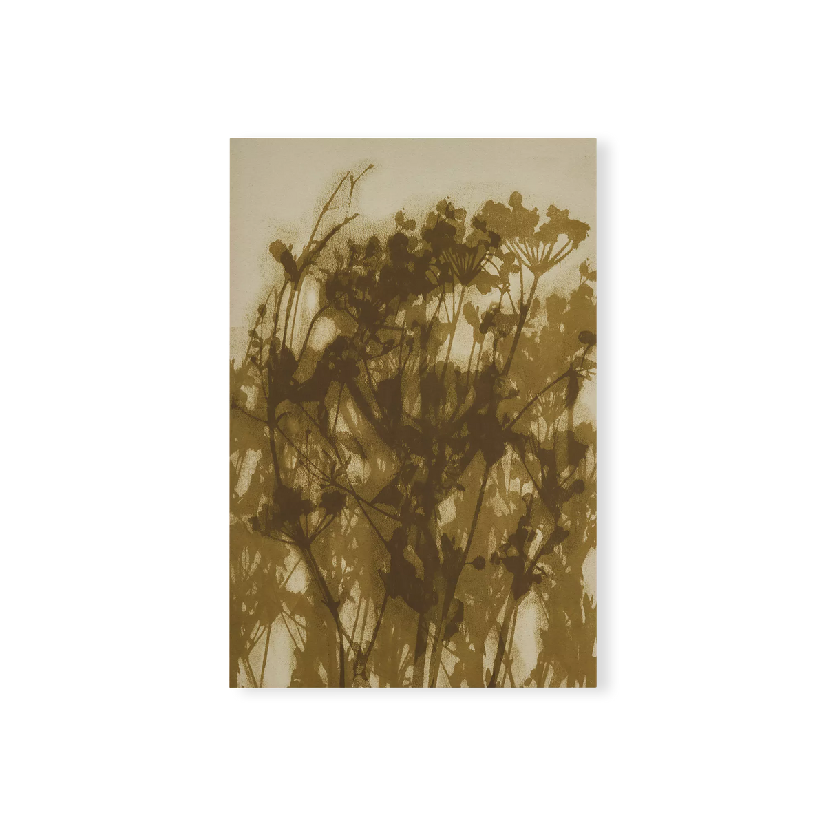 Rural - Stretched Canvas Gallery Wrap Print