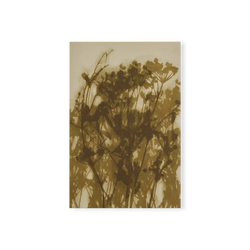 Rural - Stretched Canvas Gallery Wrap Print