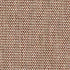 Pink Liso Umbra swatch