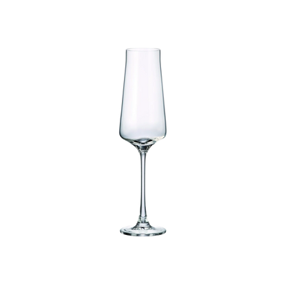 Cettia - ensemble de 6 flûtes à Champagne