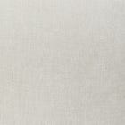Ivory swatch