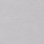 Silver Concrete swatch