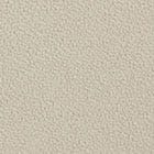 Beige swatch