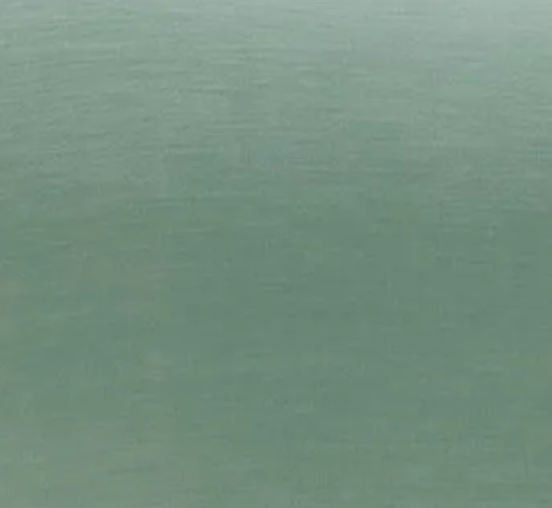 Green swatch