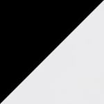 Black / Silver swatch
