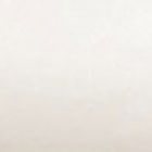 White swatch