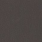 Leather, Anthracite swatch
