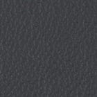 Leather, Black swatch