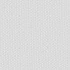 Canvas White swatch