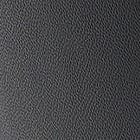 Soft Leather, Black swatch