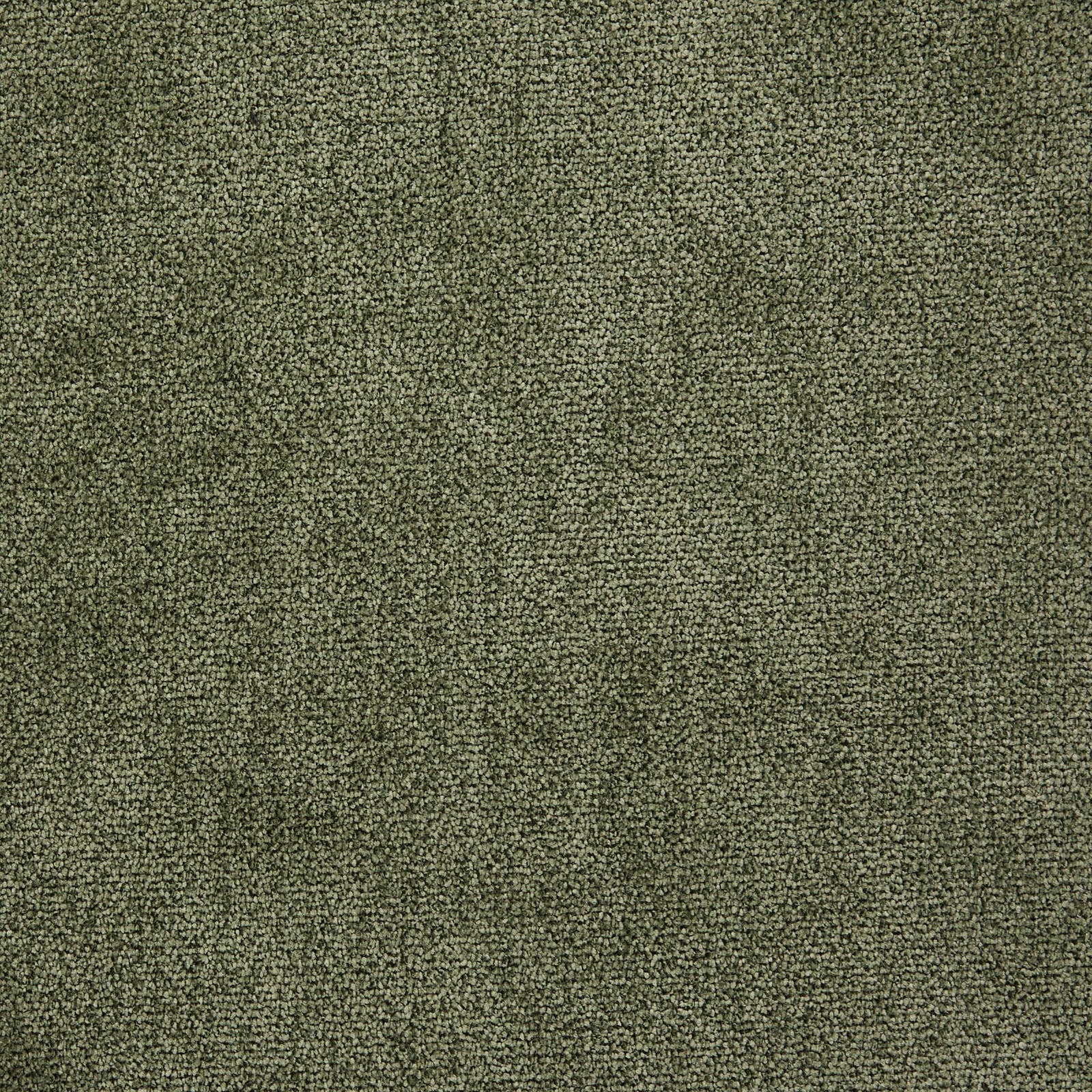 Scarlet : Olive/Velvet swatch