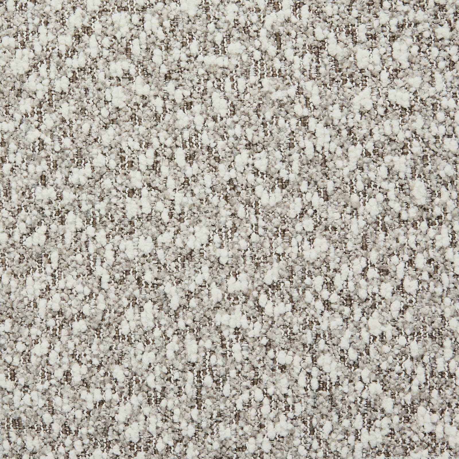 Tatum : Greige/Bouclé swatch