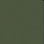 Green / Large swatch