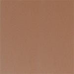 Desert Red swatch