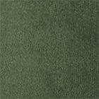 Forest Green swatch
