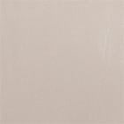 Beige. swatch