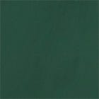 Green swatch