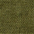 Green swatch