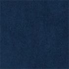 Dark Blue swatch