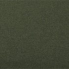 Dark Green swatch