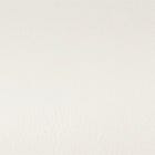 Ivory swatch