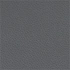 Leather, Grey swatch