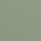Light green swatch