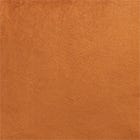 Rust swatch