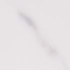 Porcelain, Calacatta swatch